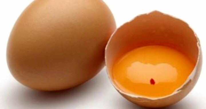 Eggs With Blood